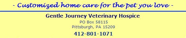Customized home care for the pet you love